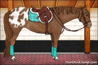 Horse Color:Chestnut Appaloosa Rabicano 