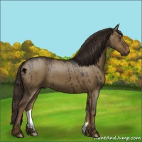 Horse Color:Liver Red Dun 