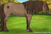 Horse Color:Liver Red Dun Frame Brindle 