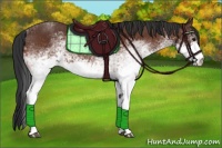 Horse Color:White Spotted Brown 