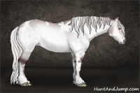 Horse Color:White Spotted Chocolate Silver Brown Chinchilla Onyx