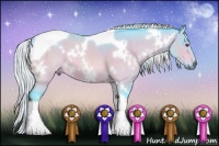 Horse Color:Watercolor White Spotted Silver Brown Chinchilla Tobiano 