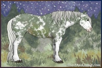 Horse Color:Watercolor Silver Brown Sabino