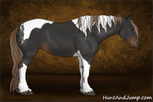 Horse Color:Liver Chestnut Sabino Tobiano 