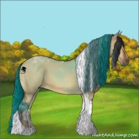 Horse Color:Bay Dun Tobiano