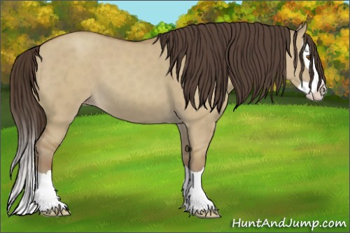 Horse Color:Classic Champagne Dun Splash 