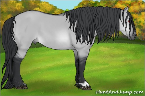 Horse Color:Brown Chinchilla Dun 