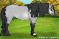 Horse Color:Brown Chinchilla Dun