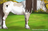Horse Color:White Spotted Classic Champagne Dun Frame