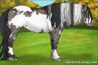 Horse Color:White Spotted Grullo Frame