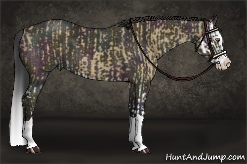 Horse Color:Classic Champagne Dun Splash  and Midnight Bay Ice Dun Splash 