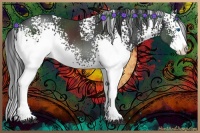 Horse Color:White Spotted Black Splash 
