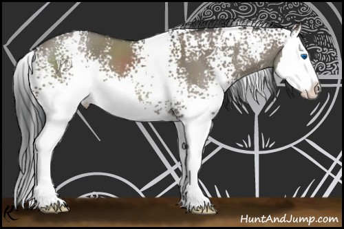 Horse Color:White Spotted Grullo Splash 
