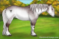 Horse Color:Chocolate Silver Brown Chinchilla Onyx