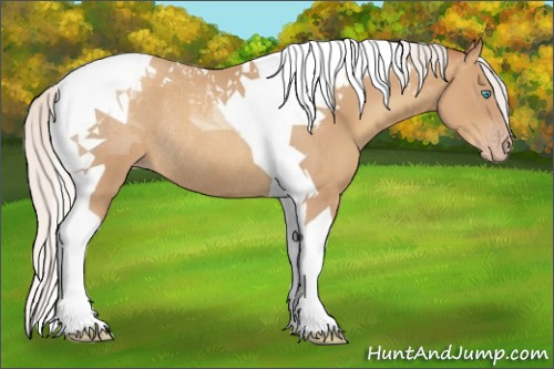 Horse Color:Silver Classic Champagne Tobiano Rabicano 