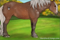 Horse Color:Silver Brown 