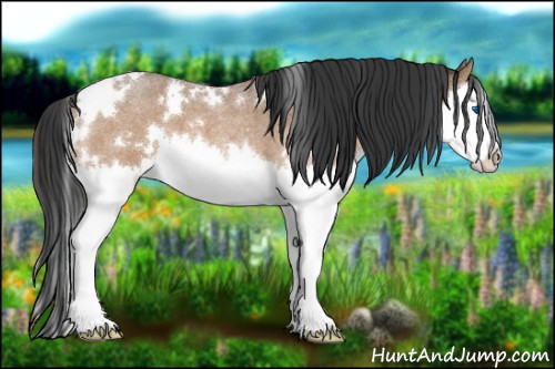 Horse Color:White Spotted Buckskin Roan Splash 