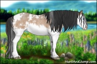 Horse Color:White Spotted Buckskin Roan Splash 