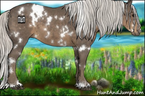 Horse Color:White Spotted Silver Smoky Black