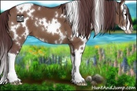 Horse Color:White Spotted Chocolate Brown Dun Splash 