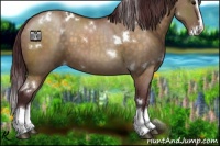 Horse Color:White Spotted Chocolate Brown Dun Splash 