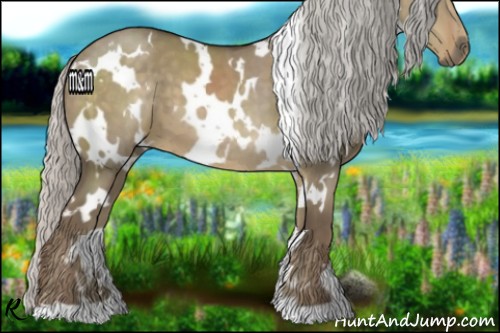 Horse Color:White Spotted Silver Smoky Grullo 