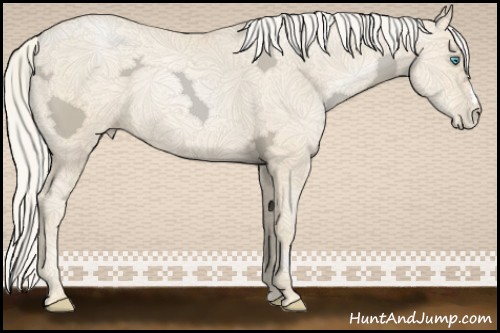 Horse Color:Gold Cream Champagne Ice Pearl 