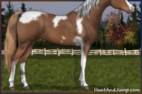 Horse Color:Chestnut Tobiano Frame