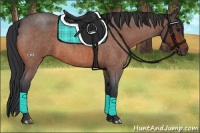 Horse Color:Bay Roan 