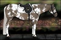Horse Color:White Spotted Chocolate Palomino