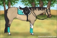 Horse Color:Bay Dun Tobiano 