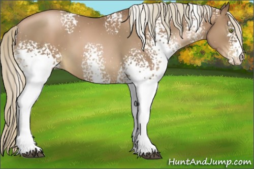 Horse Color:White Spotted Liver Chestnut Pearl 