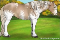 Horse Color:White Spotted Liver Chestnut Pearl 