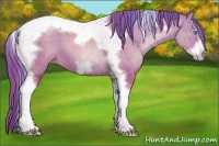 Horse Color:Painted White Spotted Buckskin Pearl Tobiano Frame 