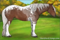 Horse Color:Silver Brown Tobiano 