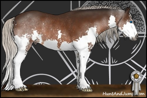 Horse Color:Gray Silver Brown Splash Rabicano