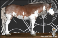 Horse Color:Gray Silver Brown Splash Rabicano 