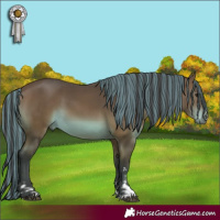 Horse Color:Painted Bay
