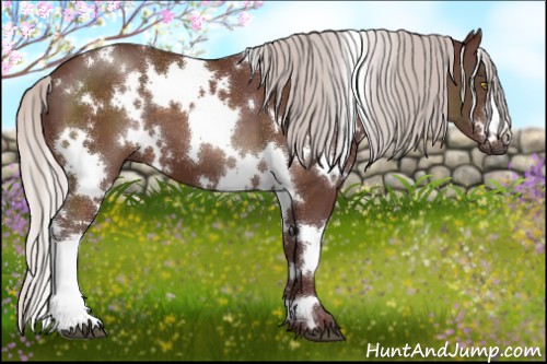 Horse Color:White Spotted Chocolate Silver Brown