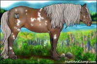 Horse Color:White Spotted Silver Brown 