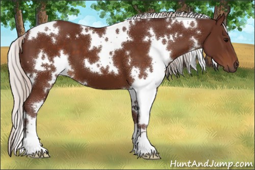 Horse Color:White Spotted Chocolate Silver Brown 