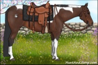 Horse Color:Brown Sabino Tobiano