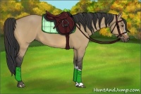 Horse Color:Buckskin Dun