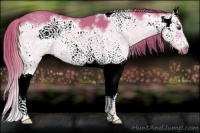 Horse Color:Watercolor Chestnut Splash Frame