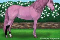 Horse Color:Watercolor Chestnut 