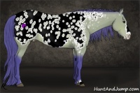 Horse Color:Watercolor Bay Frame Appaloosa