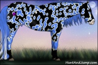 Horse Color:Watercolor Black Splash Appaloosa 