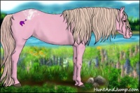 Horse Color:Watercolor Smoky Blue Roan Appaloosa