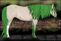 Horse Color:Watercolor Buckskin Dun 