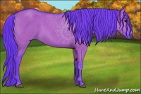 Horse Color:Watercolor Grullo